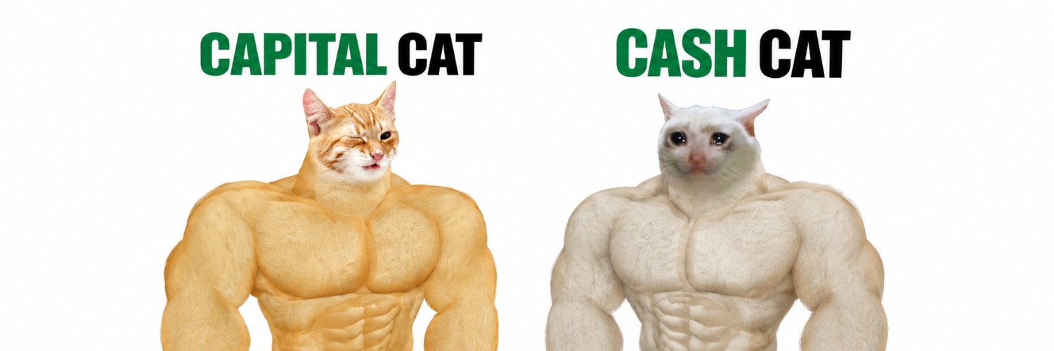 CAPITALCAT and CASHCAT